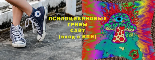 стафф Володарск